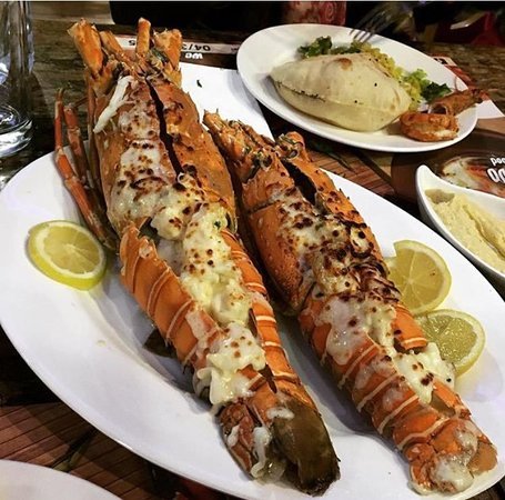 مطاعم مصرية في دبي
