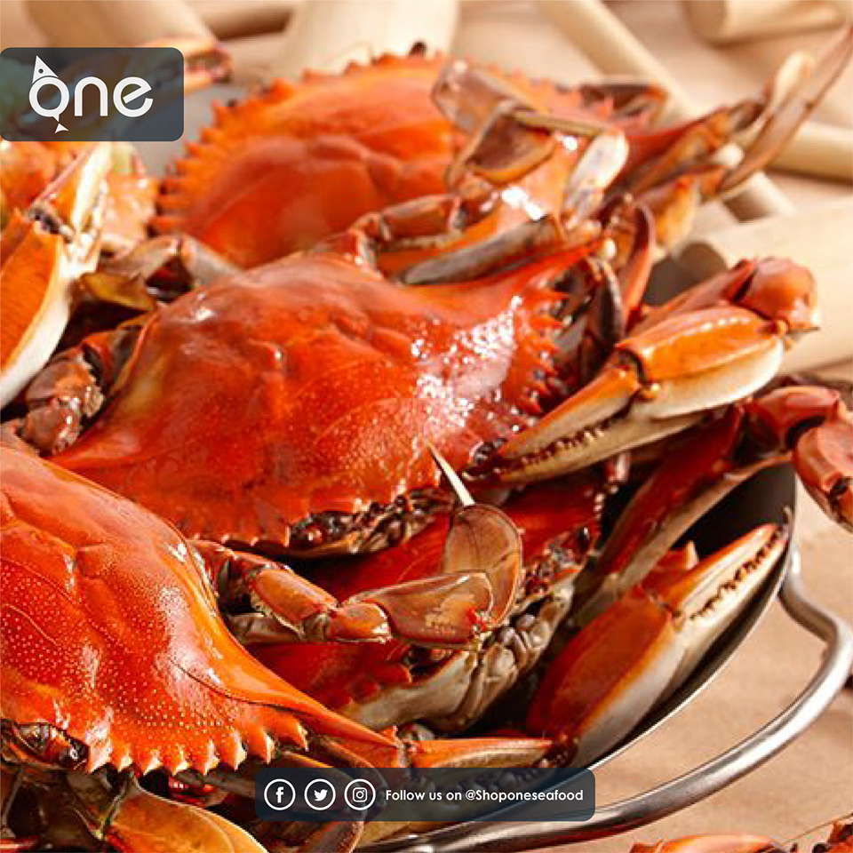 مطعم Fish Gourmet Seafood