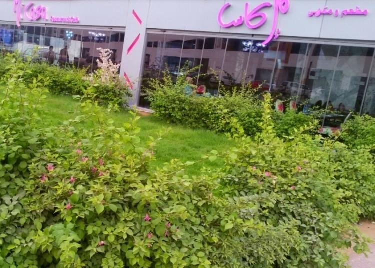 مطعم مي كاس (الأسعار + المنيو + الموقع )