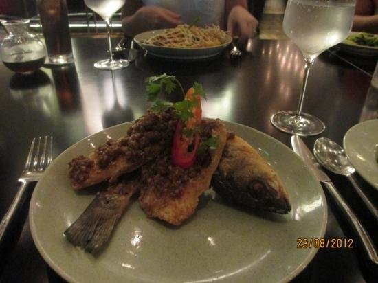 Mango Tree