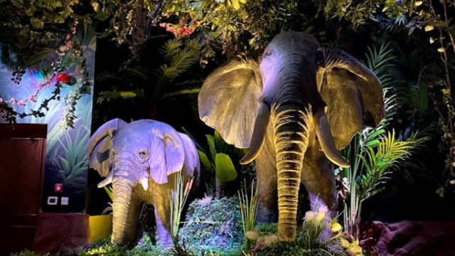 Rainforest Cafe Restaurant دبي ( الأسعار + المنيو + الموقع )