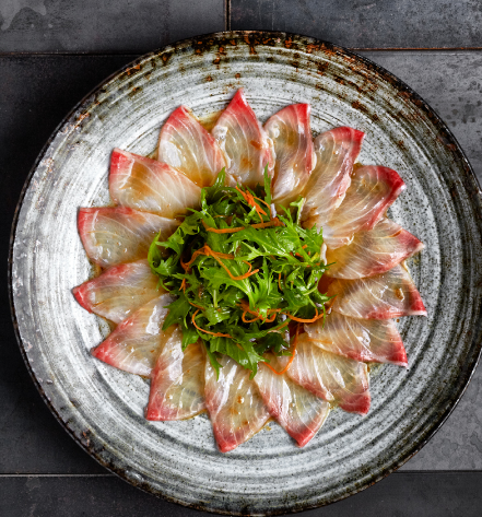 مطعم ROKA دبي (الاسعار + المنيو + الموقع)