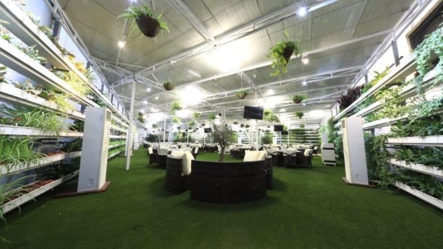 مطعم ومقهى الدلة الشامية ابوظبي (الأسعار + المنيو + الموقع )