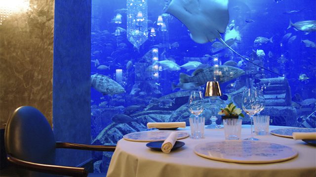 مطاعم خليج الدلافين بدبي (الأسعار+ المنيو+ الموقع)